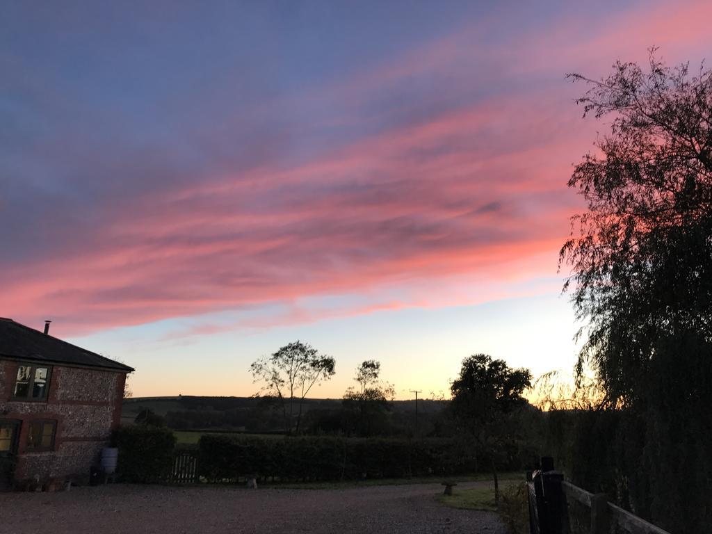 Pleck Barn B&B Ansty  Eksteriør billede