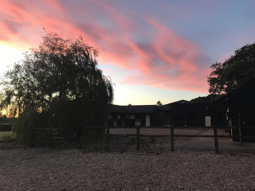 Pleck Barn B&B Ansty  Eksteriør billede